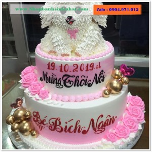 Bánh Sinh Nhật Độc Đáo - ĐU13